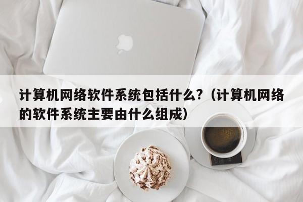 计算机网络软件系统包括什么?（计算机网络的软件系统主要由什么组成）