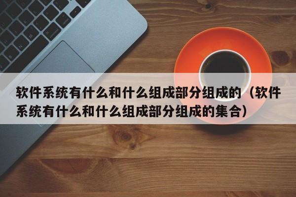 软件系统有什么和什么组成部分组成的（软件系统有什么和什么组成部分组成的集合）