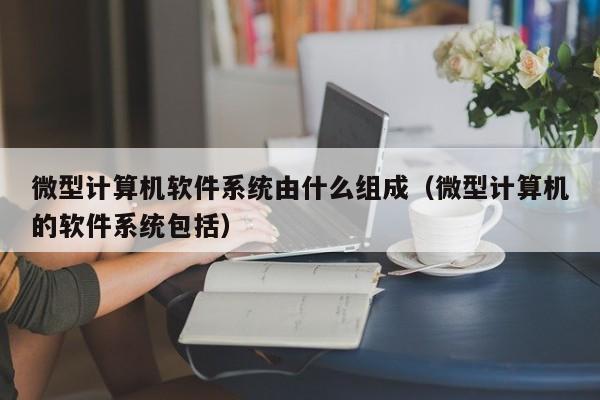 微型计算机软件系统由什么组成（微型计算机的软件系统包括）