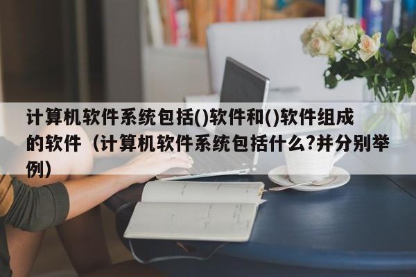 计算机软件系统包括()软件和()软件组成的软件（计算机软件系统包括什么?并分别举例）