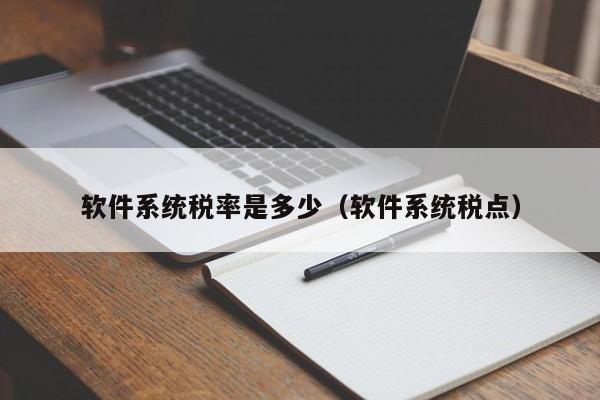 软件系统税率是多少（软件系统税点）