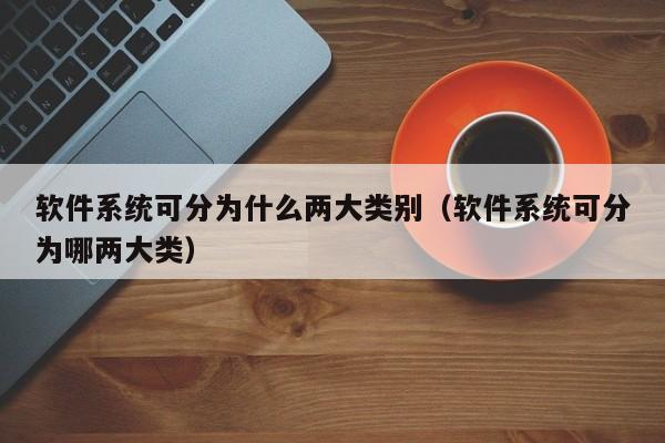 软件系统可分为什么两大类别（软件系统可分为哪两大类）