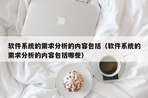 软件系统的需求分析的内容包括（软件系统的需求分析的内容包括哪些）