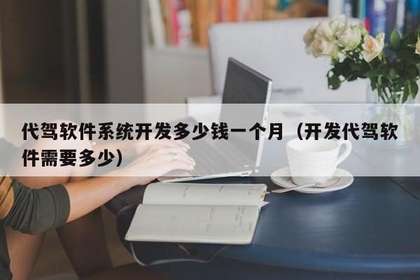 代驾软件系统开发多少钱一个月（开发代驾软件需要多少）