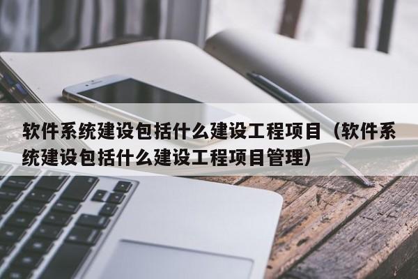 软件系统建设包括什么建设工程项目（软件系统建设包括什么建设工程项目管理）