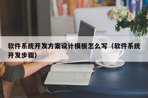 软件系统开发方案设计模板怎么写（软件系统开发步骤）