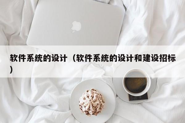 软件系统的设计（软件系统的设计和建设招标）