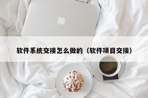 软件系统交接怎么做的（软件项目交接）