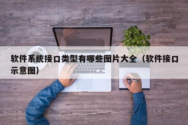 软件系统接口类型有哪些图片大全（软件接口示意图）