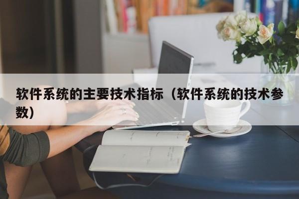 软件系统的主要技术指标（软件系统的技术参数）