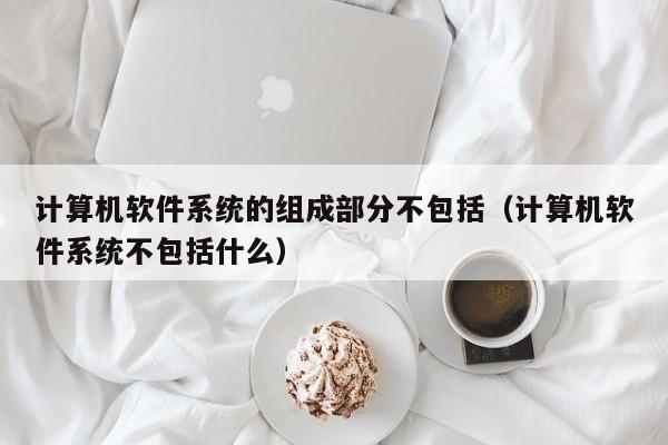 计算机软件系统的组成部分不包括（计算机软件系统不包括什么）