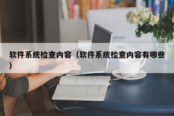 软件系统检查内容（软件系统检查内容有哪些）