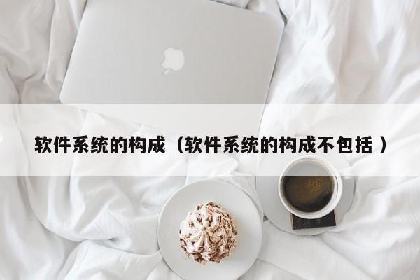 软件系统的构成（软件系统的构成不包括 ）