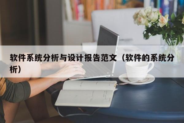 软件系统分析与设计报告范文（软件的系统分析）