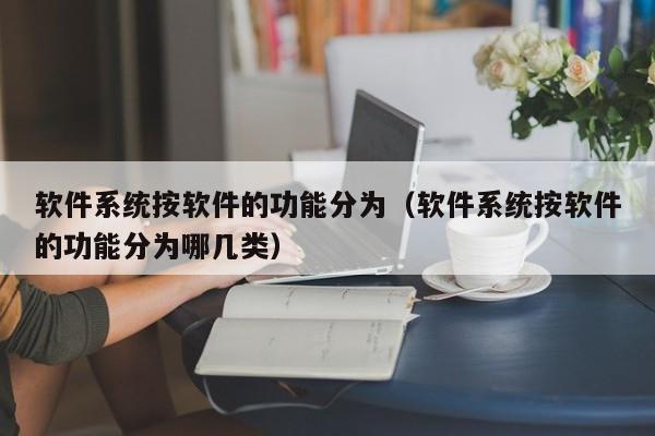 软件系统按软件的功能分为（软件系统按软件的功能分为哪几类）