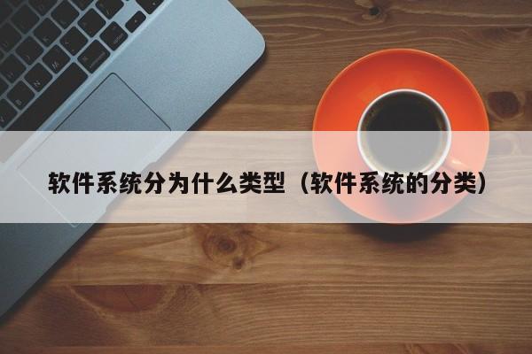 软件系统分为什么类型（软件系统的分类）