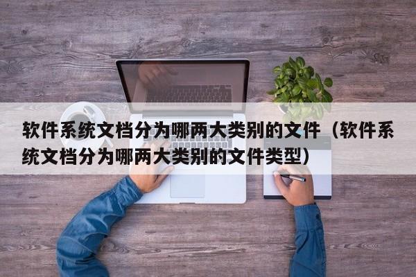 软件系统文档分为哪两大类别的文件（软件系统文档分为哪两大类别的文件类型）