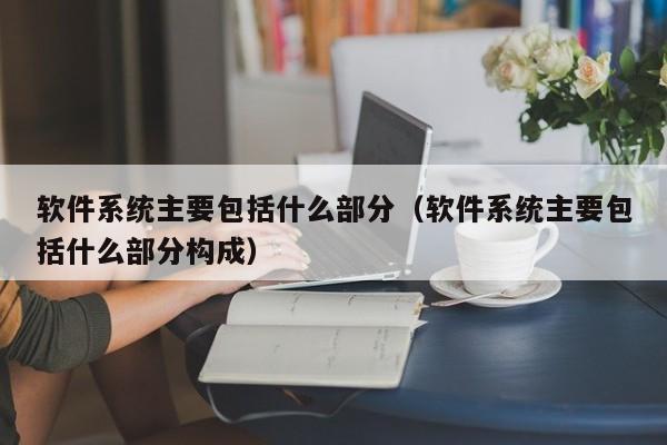 软件系统主要包括什么部分（软件系统主要包括什么部分构成）