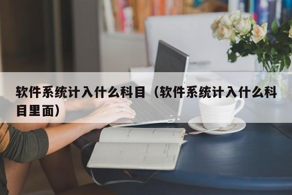 软件系统计入什么科目（软件系统计入什么科目里面）