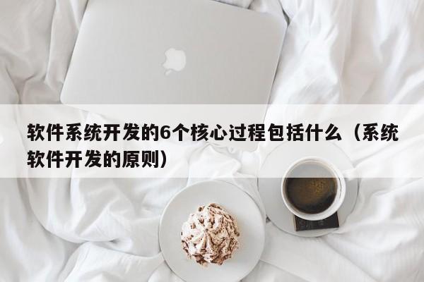 软件系统开发的6个核心过程包括什么（系统软件开发的原则）