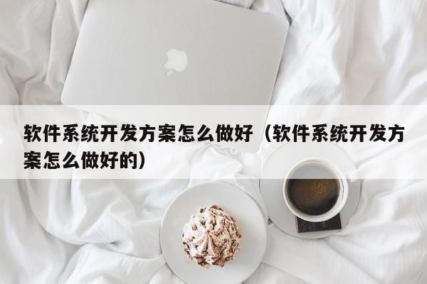 软件系统开发方案怎么做好（软件系统开发方案怎么做好的）