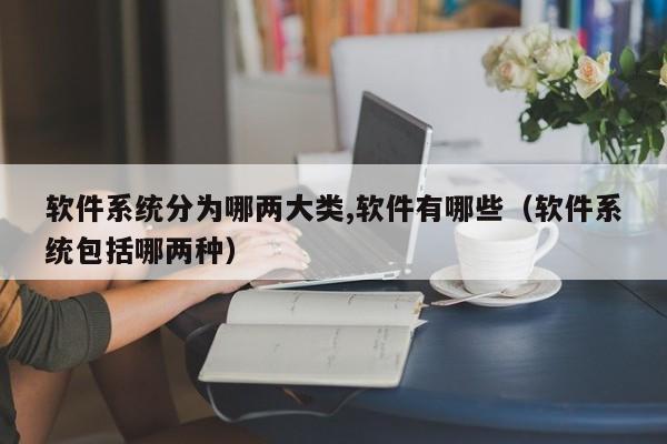 软件系统分为哪两大类,软件有哪些（软件系统包括哪两种）