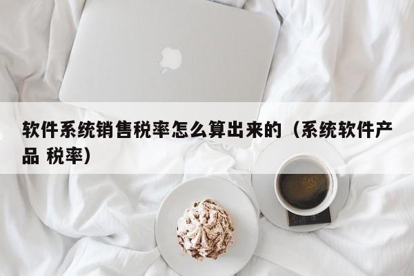 软件系统销售税率怎么算出来的（系统软件产品 税率）