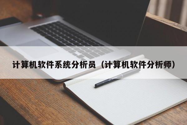 计算机软件系统分析员（计算机软件分析师）