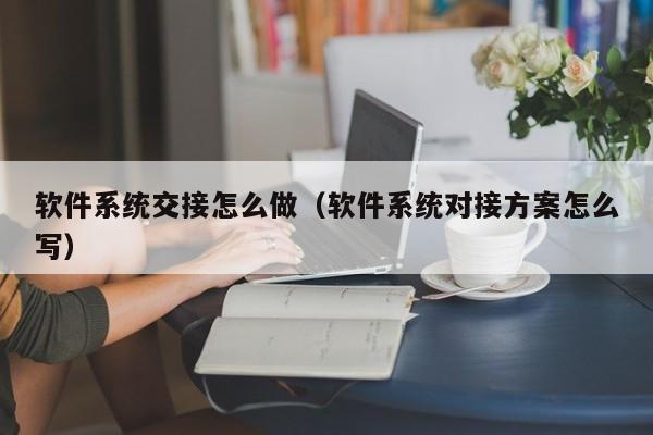 软件系统交接怎么做（软件系统对接方案怎么写）