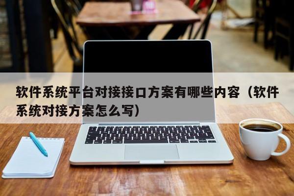 软件系统平台对接接口方案有哪些内容（软件系统对接方案怎么写）