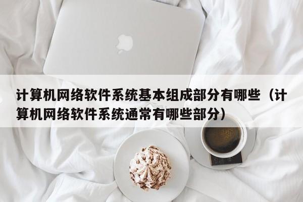 计算机网络软件系统基本组成部分有哪些（计算机网络软件系统通常有哪些部分）