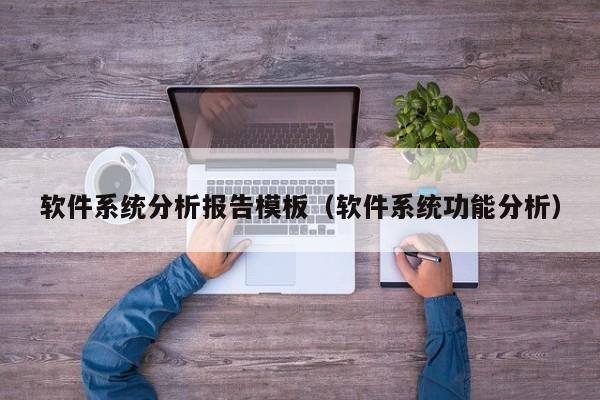 软件系统分析报告模板（软件系统功能分析）