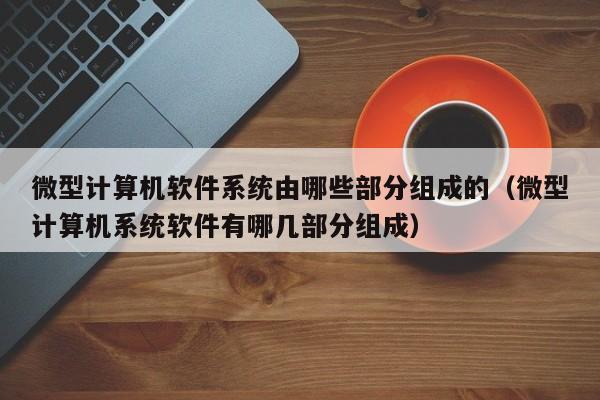 微型计算机软件系统由哪些部分组成的（微型计算机系统软件有哪几部分组成）