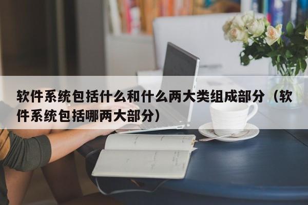 软件系统包括什么和什么两大类组成部分（软件系统包括哪两大部分）