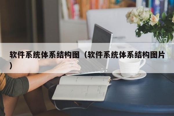 软件系统体系结构图（软件系统体系结构图片）