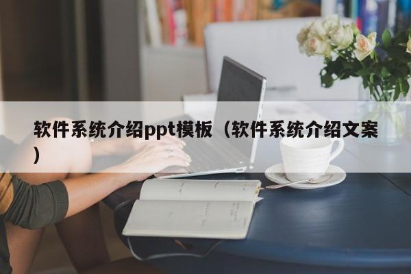 软件系统介绍ppt模板（软件系统介绍文案）