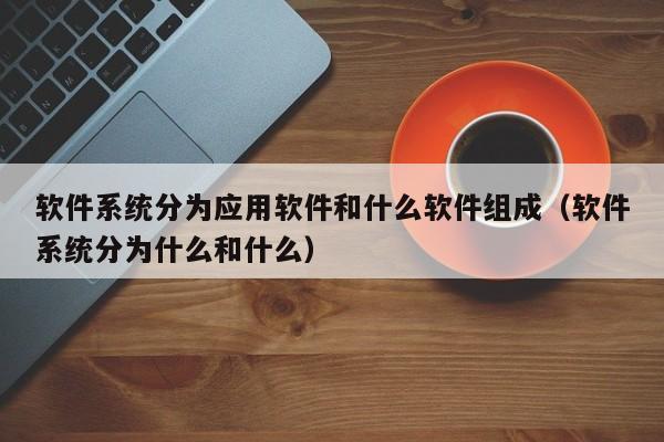 软件系统分为应用软件和什么软件组成（软件系统分为什么和什么）