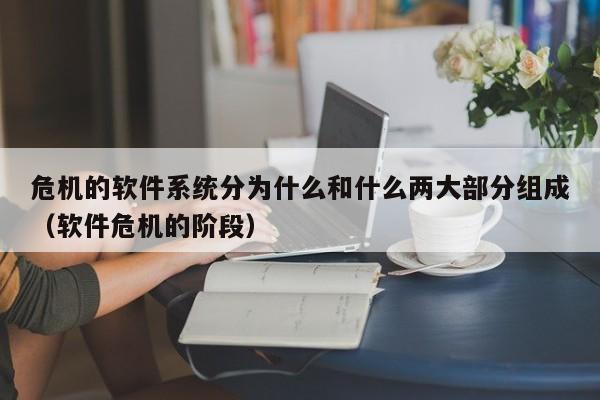 危机的软件系统分为什么和什么两大部分组成（软件危机的阶段）