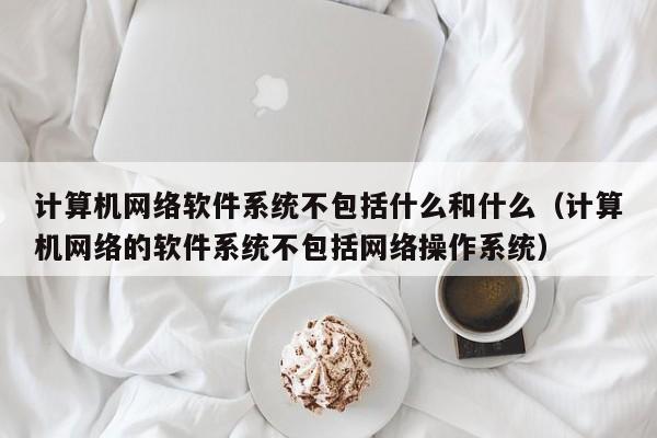 计算机网络软件系统不包括什么和什么（计算机网络的软件系统不包括网络操作系统）