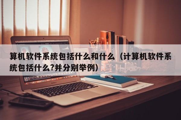 算机软件系统包括什么和什么（计算机软件系统包括什么?并分别举例）