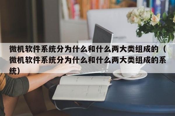 微机软件系统分为什么和什么两大类组成的（微机软件系统分为什么和什么两大类组成的系统）