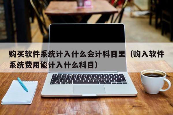 购买软件系统计入什么会计科目里（购入软件系统费用能计入什么科目）