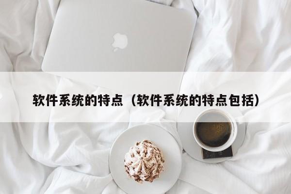 软件系统的特点（软件系统的特点包括）