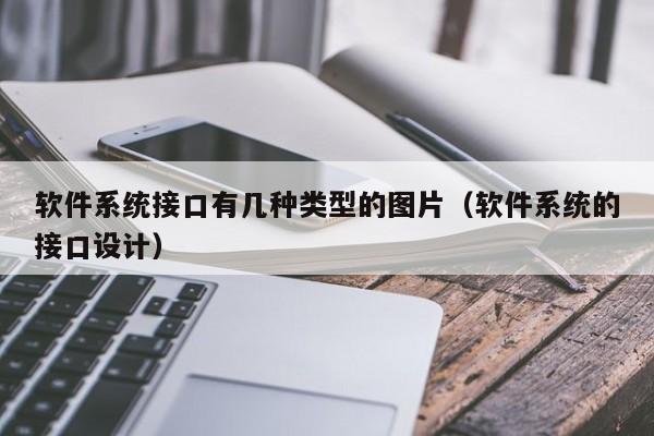 软件系统接口有几种类型的图片（软件系统的接口设计）