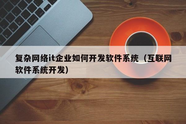 复杂网络it企业如何开发软件系统（互联网软件系统开发）