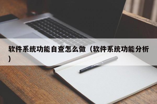 软件系统功能自查怎么做（软件系统功能分析）