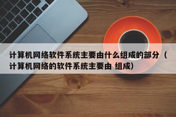 计算机网络软件系统主要由什么组成的部分（计算机网络的软件系统主要由 组成）