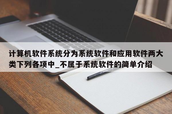 计算机软件系统分为系统软件和应用软件两大类下列各项中_不属于系统软件的简单介绍