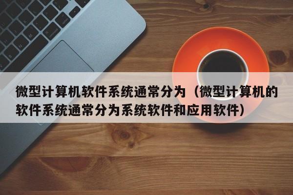 微型计算机软件系统通常分为（微型计算机的软件系统通常分为系统软件和应用软件）