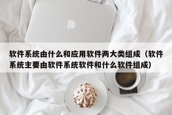 软件系统由什么和应用软件两大类组成（软件系统主要由软件系统软件和什么软件组成）